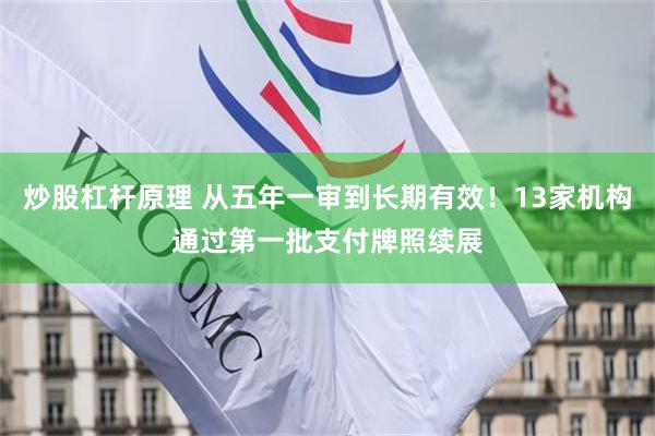 炒股杠杆原理 从五年一审到长期有效！13家机构通过第一批支付牌照续展