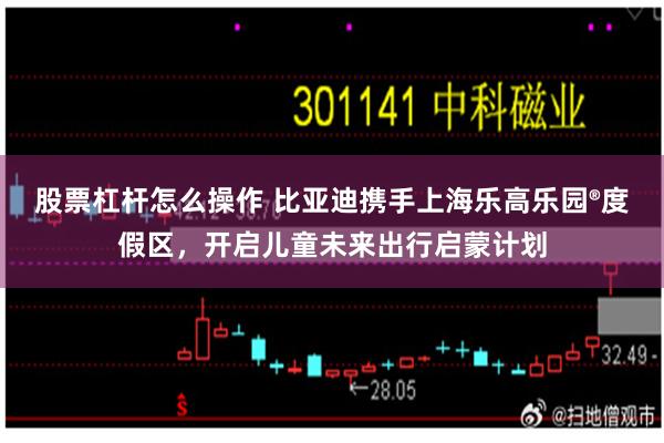 股票杠杆怎么操作 比亚迪携手上海乐高乐园®度假区，开启儿童未来出行启蒙计划