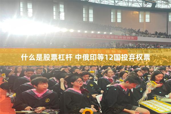 什么是股票杠杆 中俄印等12国投弃权票