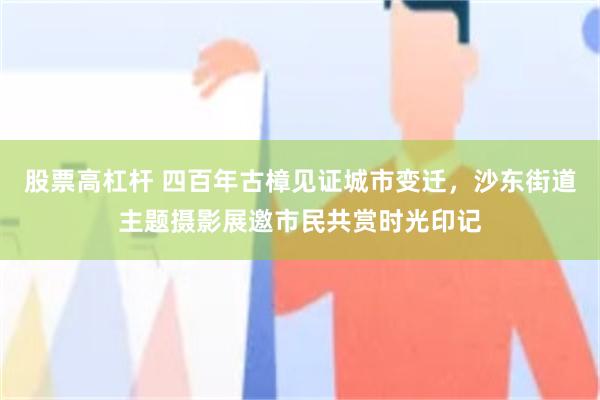 股票高杠杆 四百年古樟见证城市变迁，沙东街道主题摄影展邀市民共赏时光印记
