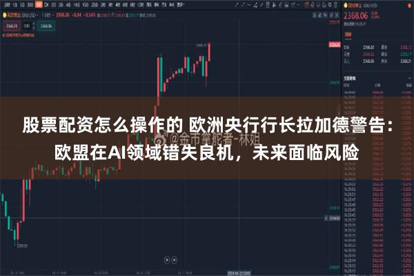 股票配资怎么操作的 欧洲央行行长拉加德警告：欧盟在AI领域错失良机，未来面临风险
