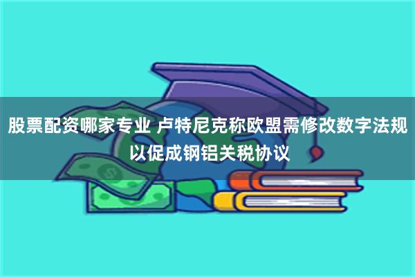 股票配资哪家专业 卢特尼克称欧盟需修改数字法规 以促成钢铝关税协议