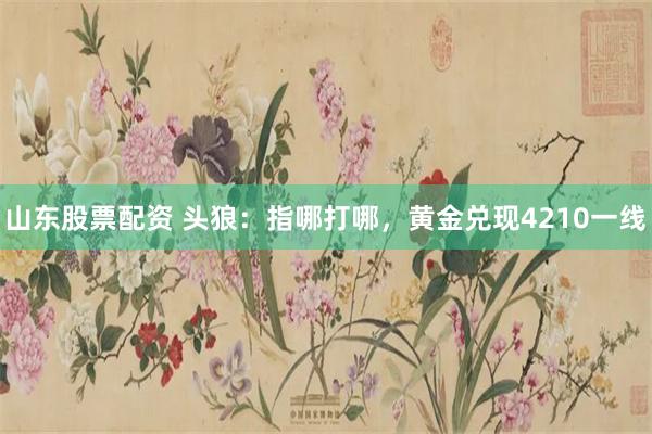 山东股票配资 头狼：指哪打哪，黄金兑现4210一线