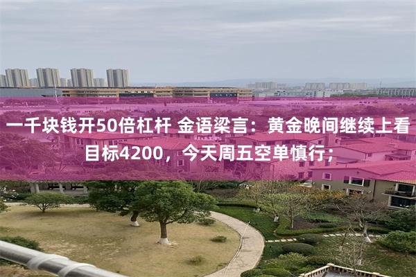 一千块钱开50倍杠杆 金语梁言：黄金晚间继续上看目标4200，今天周五空单慎行；