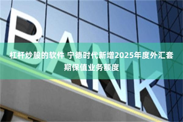 杠杆炒股的软件 宁德时代新增2025年度外汇套期保值业务额度