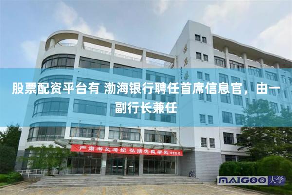 股票配资平台有 渤海银行聘任首席信息官，由一副行长兼任
