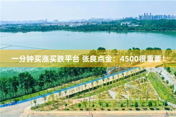 一分钟买涨买跌平台 张良点金:4500很重要!