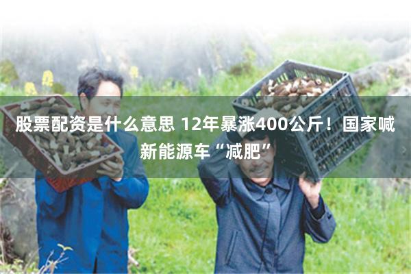 股票配资是什么意思 12年暴涨400公斤！国家喊新能源车“减肥”