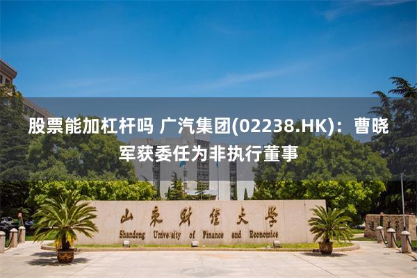 股票能加杠杆吗 广汽集团(02238.HK)：曹晓军获委任为非执行董事