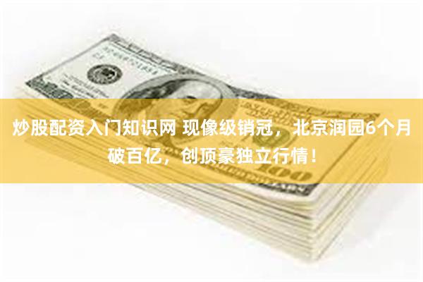 炒股配资入门知识网 现像级销冠，北京润园6个月破百亿，创顶豪独立行情！