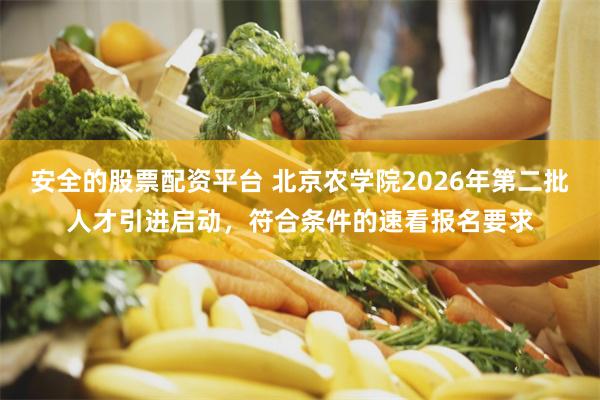 安全的股票配资平台 北京农学院2026年第二批人才引进启动，符合条件的速看报名要求