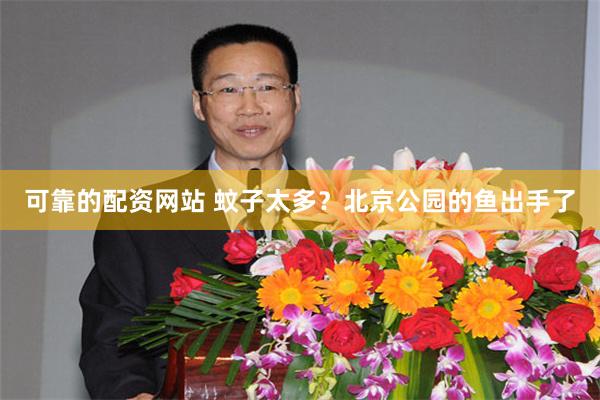 可靠的配资网站 蚊子太多?北京公园的鱼出手了