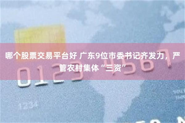 哪个股票交易平台好 广东9位市委书记齐发力,严管农村集体“三资”