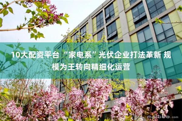 10大配资平台 “家电系”光伏企业打法革新 规模为王转向精细化运营