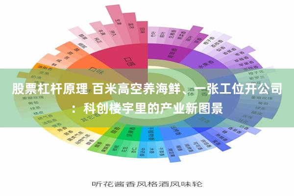 股票杠杆原理 百米高空养海鲜、一张工位开公司:科创楼宇里的产业新图景