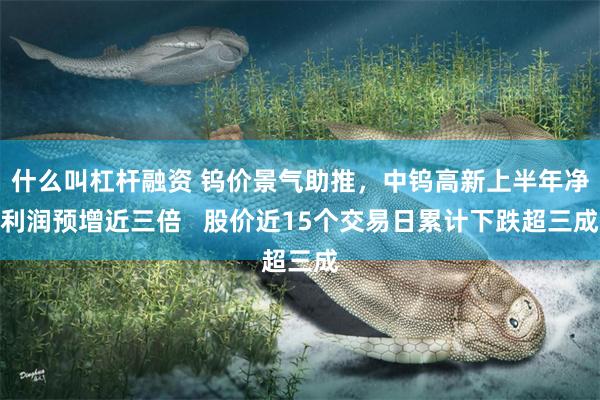 什么叫杠杆融资 钨价景气助推,中钨高新上半年净利润预增近三倍 股价近15个交易日累计下跌超三成