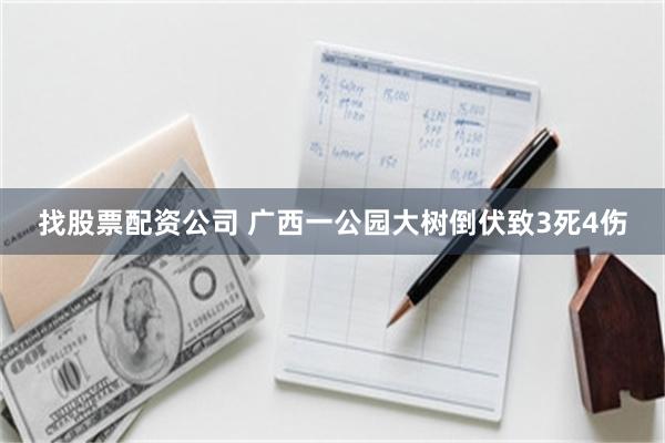 找股票配资公司 广西一公园大树倒伏致3死4伤