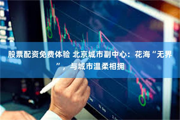 股票配资免费体验 北京城市副中心：花海“无界”，与城市温柔相拥