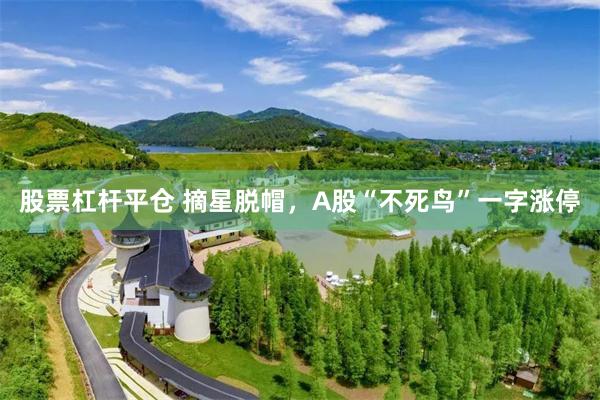 股票杠杆平仓 摘星脱帽，A股“不死鸟”一字涨停