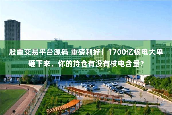 股票交易平台源码 重磅利好！1700亿核电大单砸下来，你的持仓有没有核电含量？