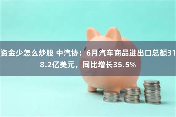资金少怎么炒股 中汽协：6月汽车商品进出口总额318.2亿美元，同比增长35.5%