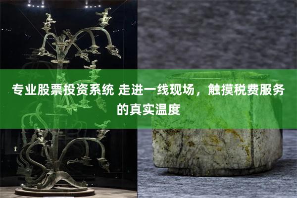 专业股票投资系统 走进一线现场，触摸税费服务的真实温度