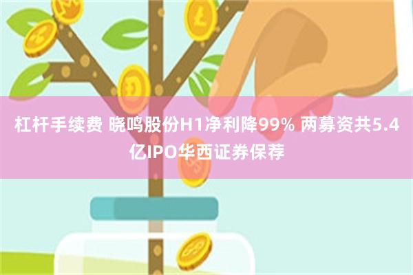 杠杆手续费 晓鸣股份H1净利降99% 两募资共5.4亿IPO华西证券保荐