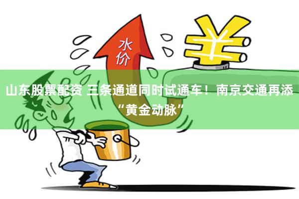 山东股票配资 三条通道同时试通车！南京交通再添“黄金动脉”
