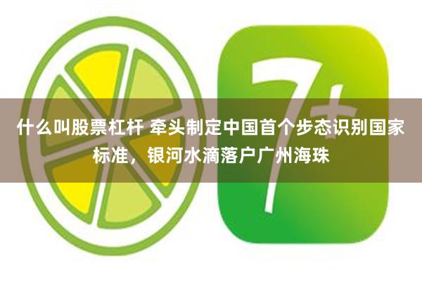 什么叫股票杠杆 牵头制定中国首个步态识别国家标准,银河水滴落户广州海珠