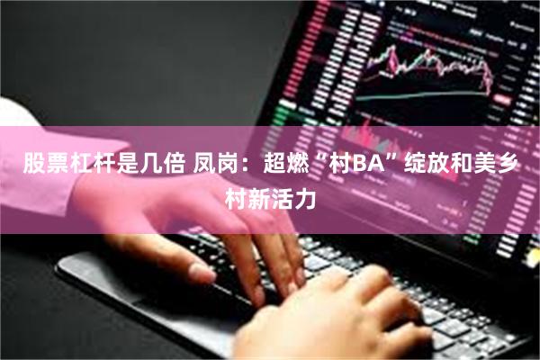 股票杠杆是几倍 凤岗:超燃“村BA”绽放和美乡村新活力