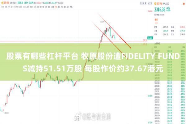 股票有哪些杠杆平台 牧原股份遭FIDELITY FUNDS减持51.51万股 每股作价约37.67港元
