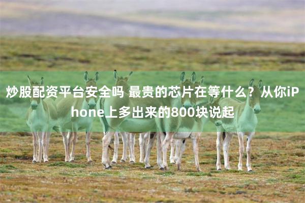 炒股配资平台安全吗 最贵的芯片在等什么？从你iPhone上多出来的800块说起