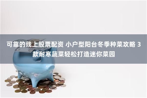 可靠的线上股票配资 小户型阳台冬季种菜攻略 3款耐寒蔬菜轻松打造迷你菜园