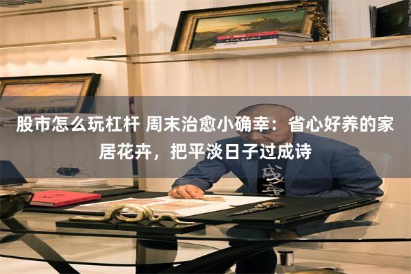 股市怎么玩杠杆 周末治愈小确幸：省心好养的家居花卉，把平淡日子过成诗