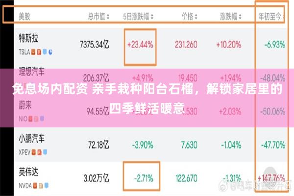 免息场内配资 亲手栽种阳台石榴，解锁家居里的四季鲜活暖意